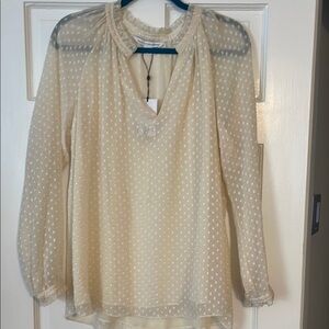 Cream Sheer Women's Top